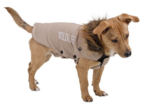 dog-jacket-wild-life