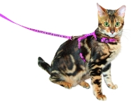 cat-harness-with-leash
