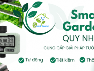 giai-phap-tuoi-tu-dong