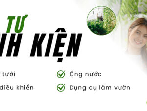 linh-kien